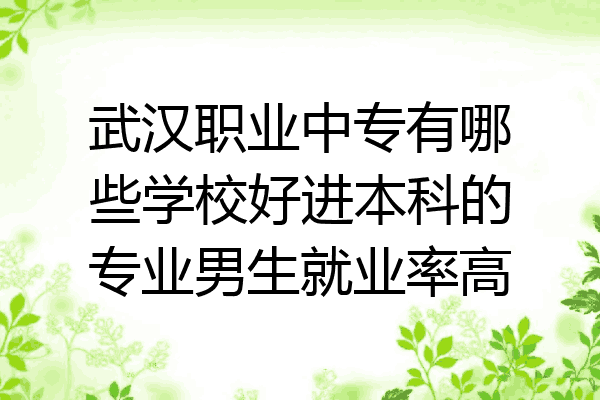 武汉职业中专有哪些学校好进本科的专业男生就业率高