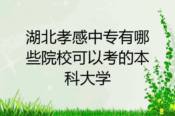 湖北孝感中专有哪些院校可以考的本科大学