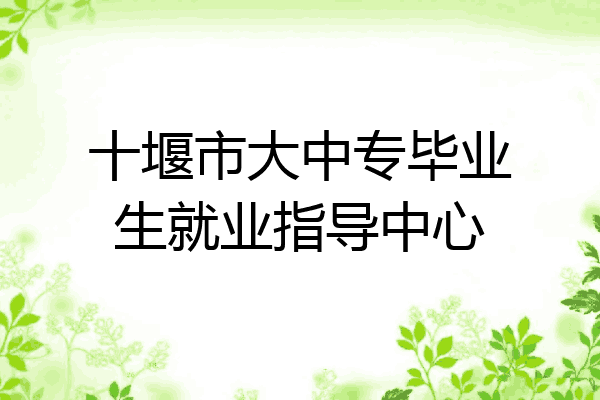 十堰市大中专毕业生就业指导中心
