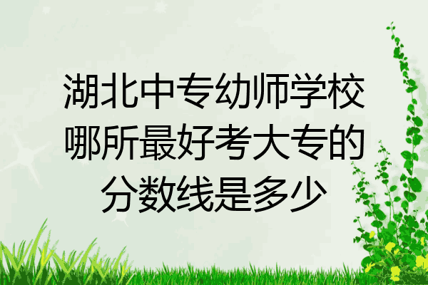 湖北中专幼师学校哪所最好考大专的分数线是多少