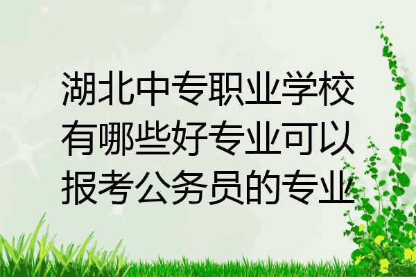 湖北中专职业学校有哪些好专业可以报考公务员的专业