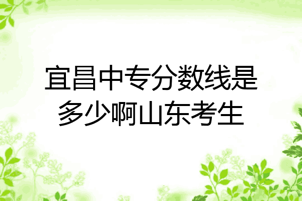宜昌中专分数线是多少啊山东考生