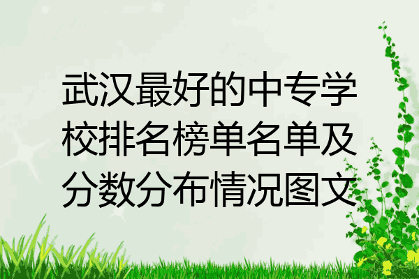 武汉最好的中专学校排名榜单名单及分数分布情况图文