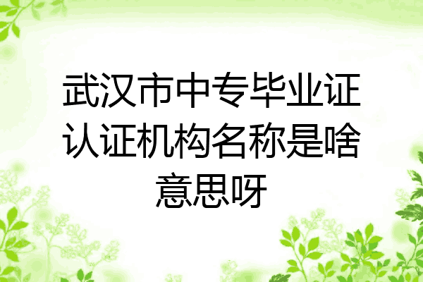 武汉市中专毕业证认证机构名称是啥意思呀