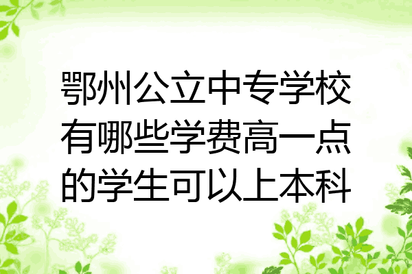 鄂州公立中专学校有哪些学费高一点的学生可以上本科