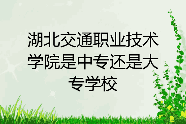湖北交通职业技术学院是中专还是大专学校