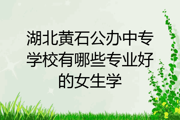 湖北黄石公办中专学校有哪些专业好的女生学