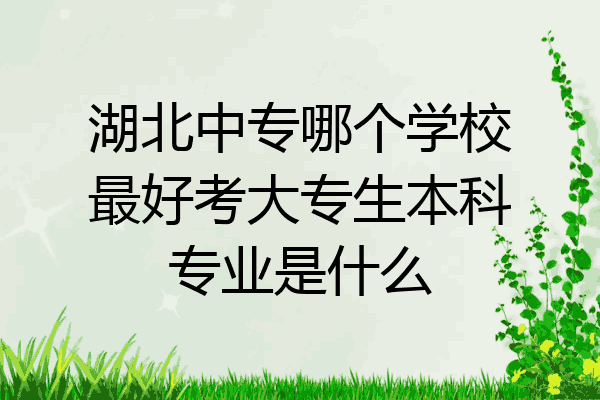 湖北中专哪个学校最好考大专生本科专业是什么