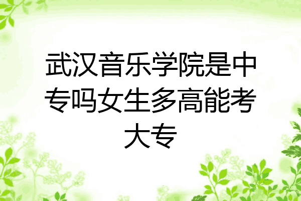 武汉音乐学院是中专吗女生多高能考大专