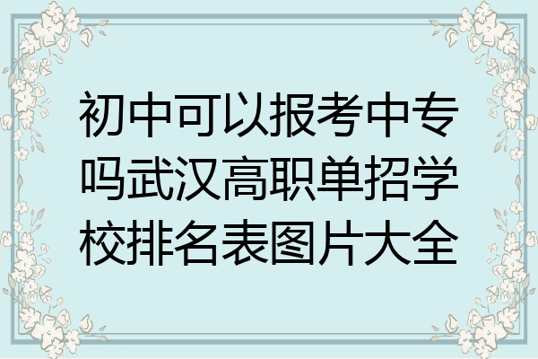 初中可以报考中专吗武汉高职单招学校排名表图片大全
