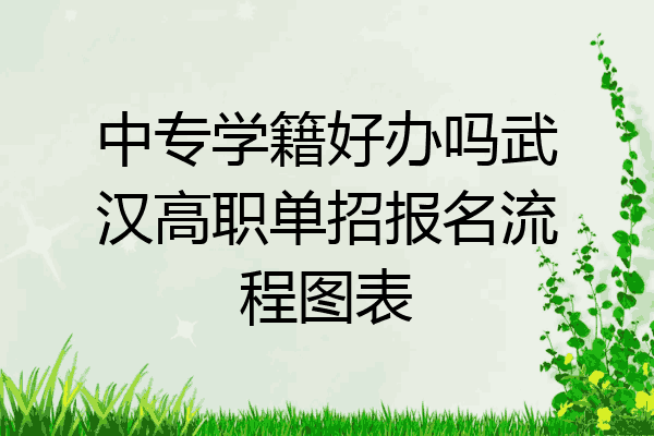 中专学籍好办吗武汉高职单招报名流程图表