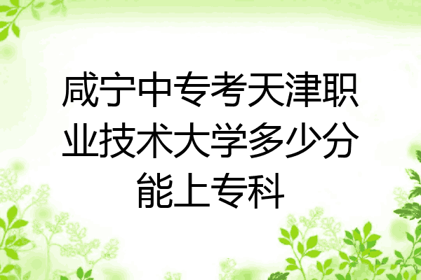 咸宁中专考天津职业技术大学多少分能上专科