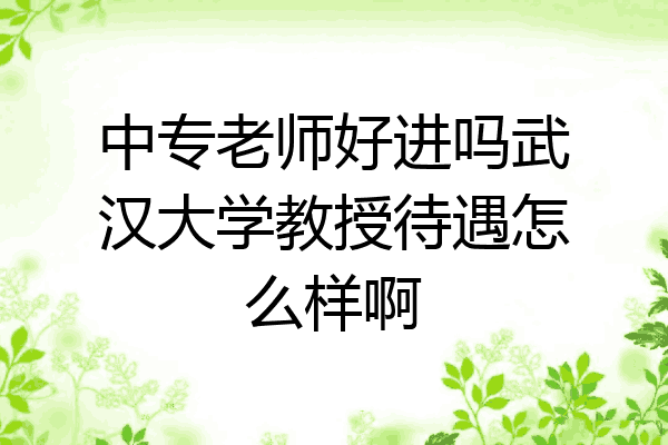 中专老师好进吗武汉大学教授待遇怎么样啊