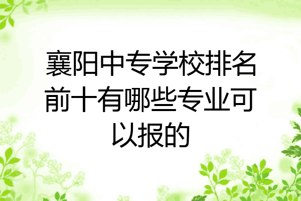 襄阳中专学校排名前十有哪些专业可以报的