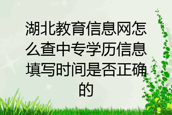 湖北教育信息网怎么查中专学历信息填写时间是否正确的