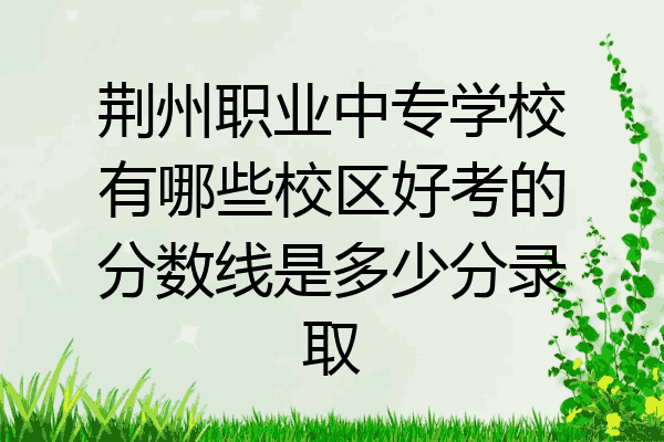 荆州职业中专学校有哪些校区好考的分数线是多少分录取