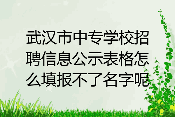 武汉市中专学校招聘信息公示表格怎么填报不了名字呢