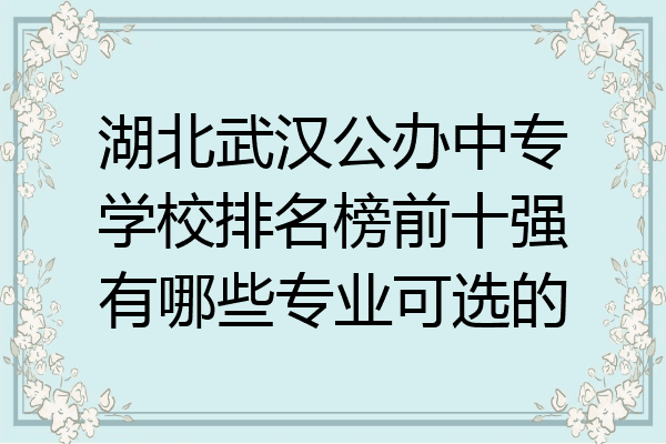 湖北武汉公办中专学校排名榜前十强有哪些专业可选的