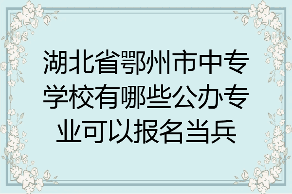 湖北省鄂州市中专学校有哪些公办专业可以报名当兵