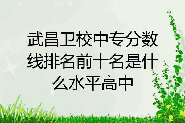 武昌卫校中专分数线排名前十名是什么水平高中