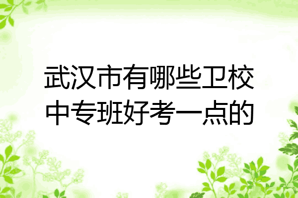 武汉市有哪些卫校中专班好考一点的