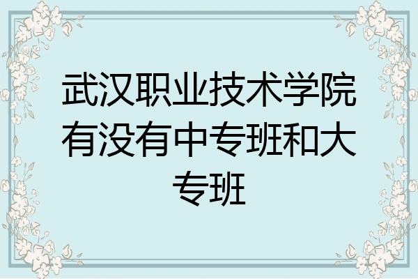 武汉职业技术学院有没有中专班和大专班