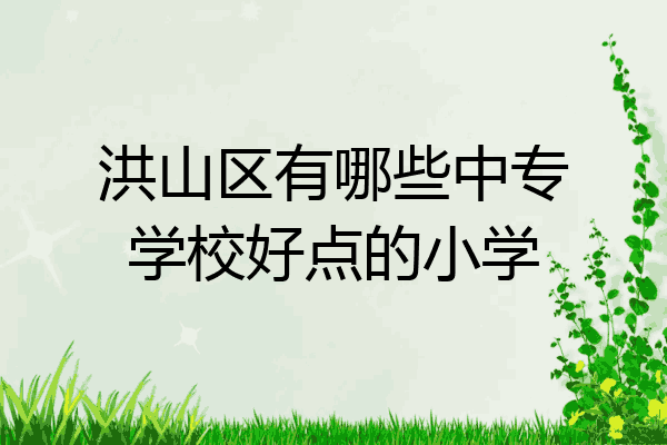 洪山区有哪些中专学校好点的小学