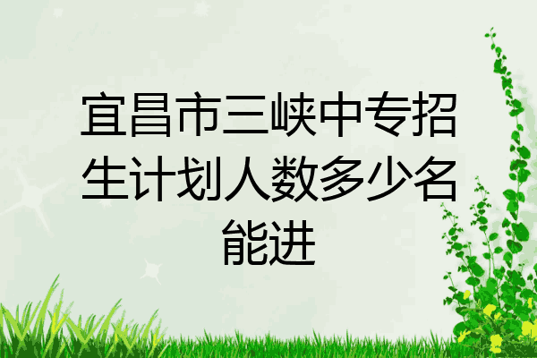 宜昌市三峡中专招生计划人数多少名能进