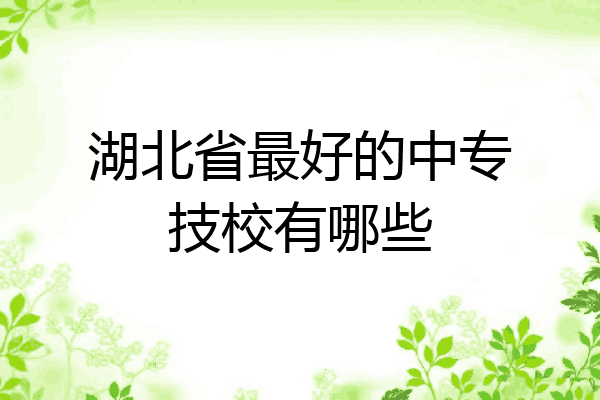 湖北省最好的中专技校有哪些
