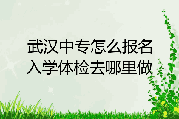 武汉中专怎么报名入学体检去哪里做