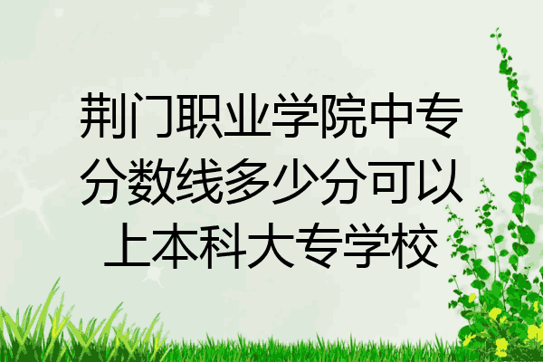 荆门职业学院中专分数线多少分可以上本科大专学校