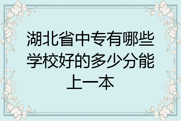 湖北省中专有哪些学校好的多少分能上一本