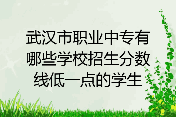 武汉市职业中专有哪些学校招生分数线低一点的学生