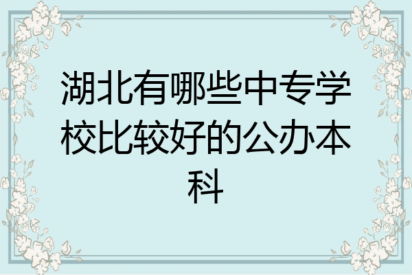 湖北有哪些中专学校比较好的公办本科