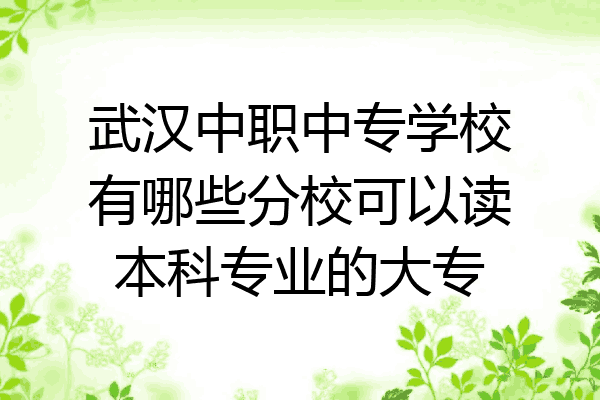 武汉中职中专学校有哪些分校可以读本科专业的大专