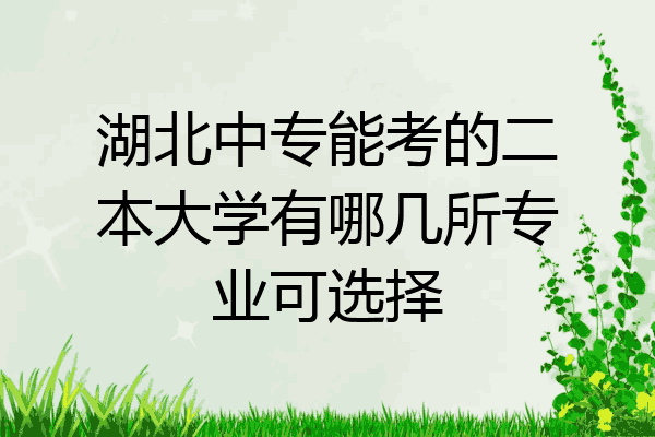 湖北中专能考的二本大学有哪几所专业可选择