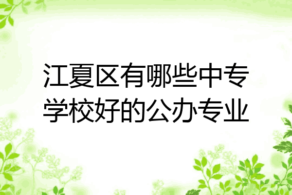 江夏区有哪些中专学校好的公办专业