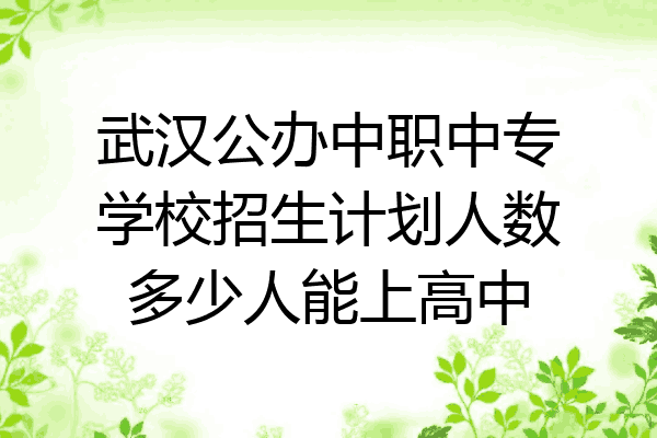 武汉公办中职中专学校招生计划人数多少人能上高中