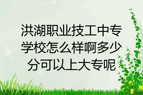 洪湖职业技工中专学校怎么样啊多少分可以上大专呢