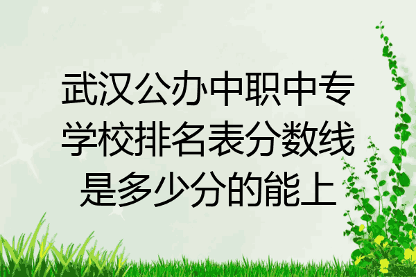 武汉公办中职中专学校排名表分数线是多少分的能上