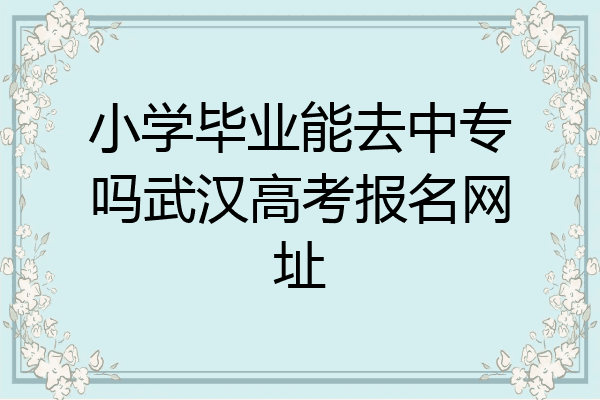 小学毕业能去中专吗武汉高考报名网址