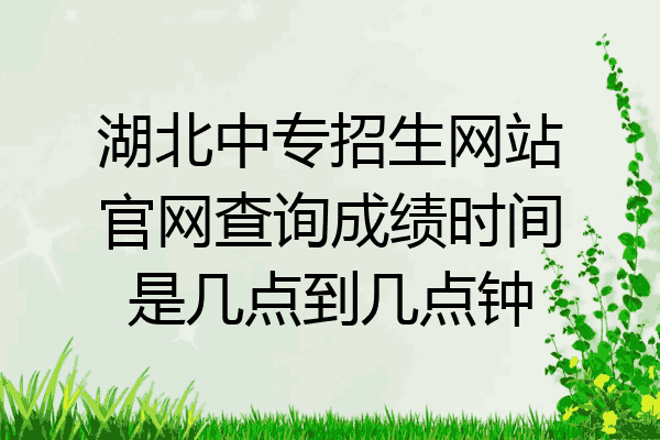湖北中专招生网站官网查询成绩时间是几点到几点钟