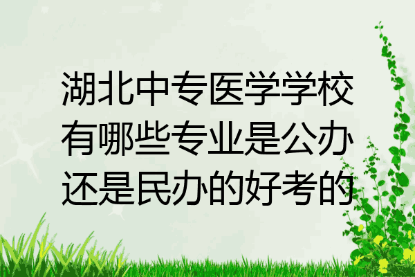 湖北中专医学学校有哪些专业是公办还是民办的好考的
