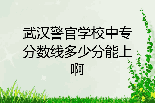 武汉警官学校中专分数线多少分能上啊