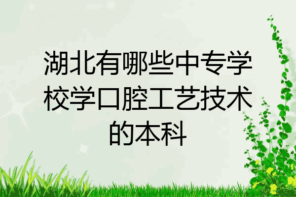 湖北有哪些中专学校学口腔工艺技术的本科