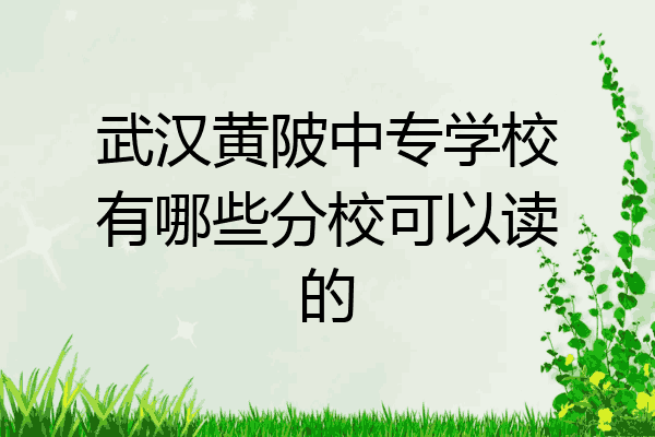 武汉黄陂中专学校有哪些分校可以读的