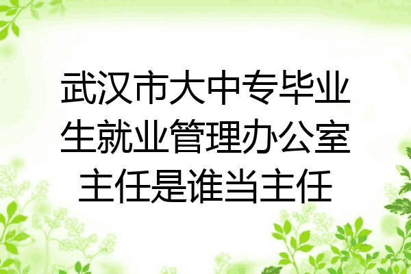 武汉市大中专毕业生就业管理办公室主任是谁当主任