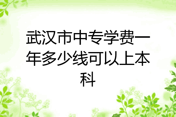 武汉市中专学费一年多少线可以上本科