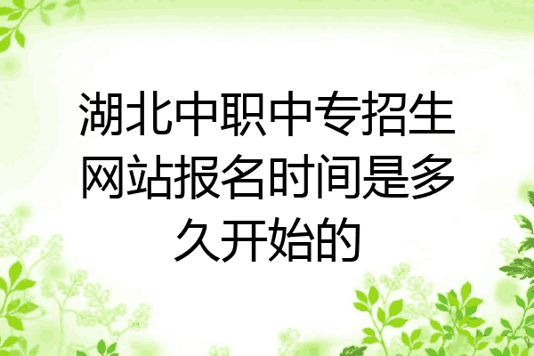 湖北中职中专招生网站报名时间是多久开始的