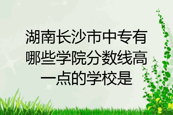湖南长沙市中专有哪些学院分数线高一点的学校是